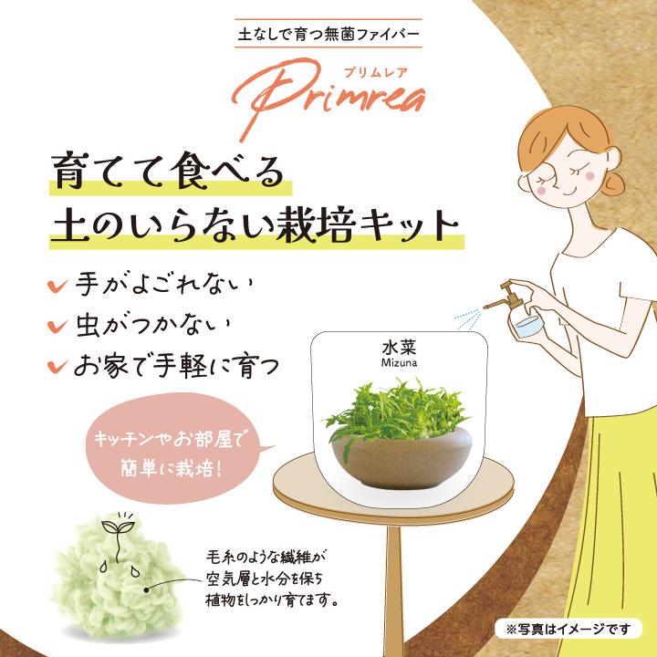 プリムレアのパッケージ画像