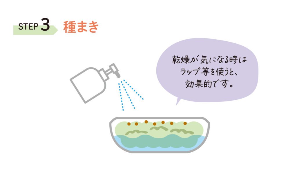 プリムレア育て方３の画像